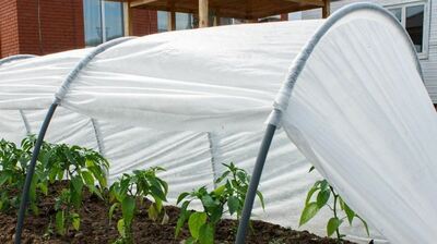 Агроволокно (СпанбонД) 30