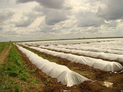 2) Оптовые Цены!!!