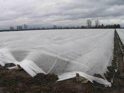 Агроволокно (СпанбонД) 42