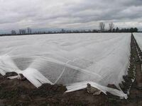 Агроволокно (СпанбонД) 42