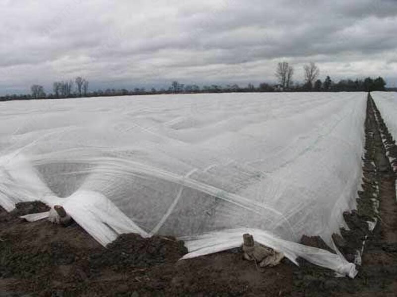 Агроволокно (СпанбонД) 42