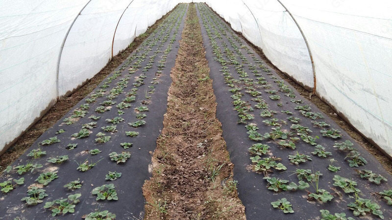 3м) Оптовые Цены!!!