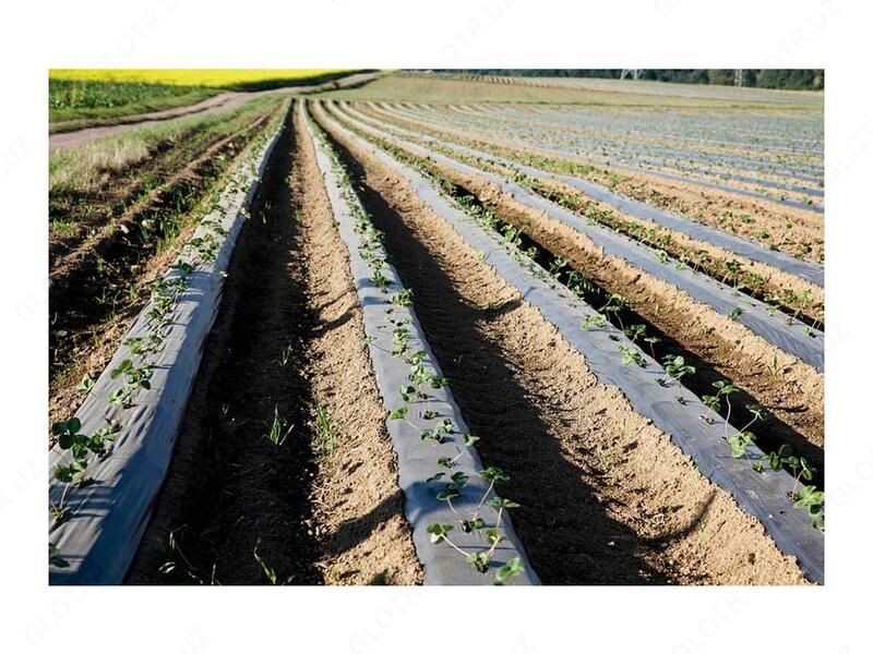 Spunbond geotekstili obodonlashtirish va bog'dorchilikda - 2 000 so'm