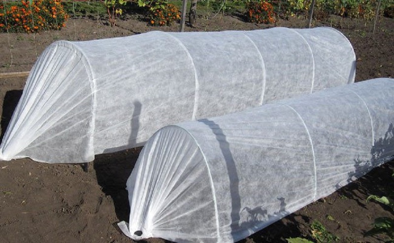 для  ТЕПЛИЦЫ