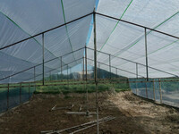 Агроволокно (СпанбонД) 60