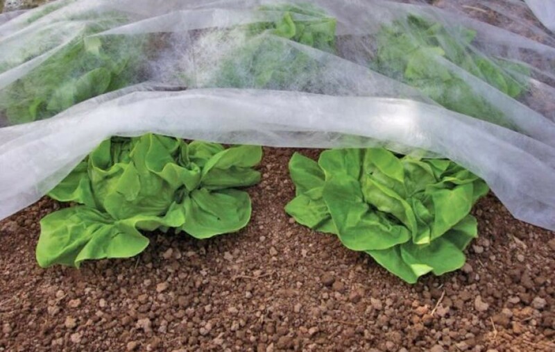 Укрывной матерал от солнечных лучей и заморозков для растений Оптом и розница