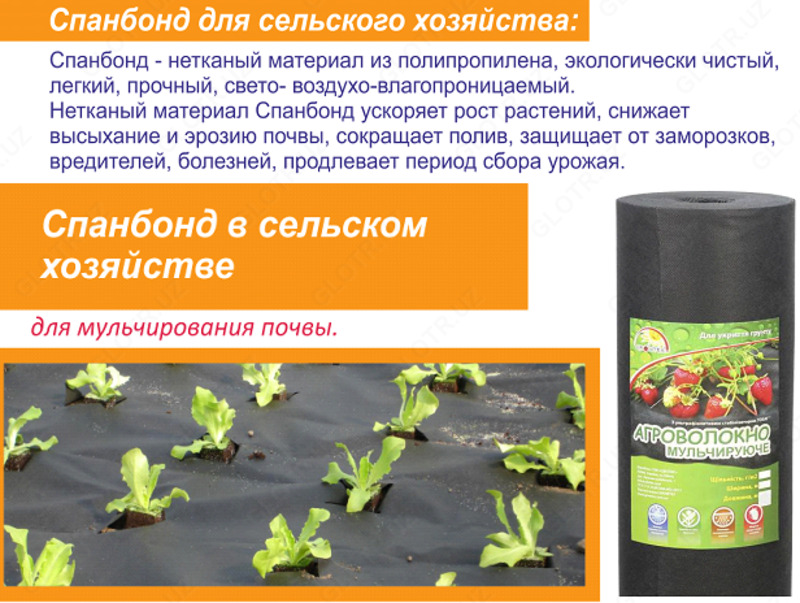 Спанбонд в (медицине