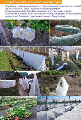 сельском хозяйстве)