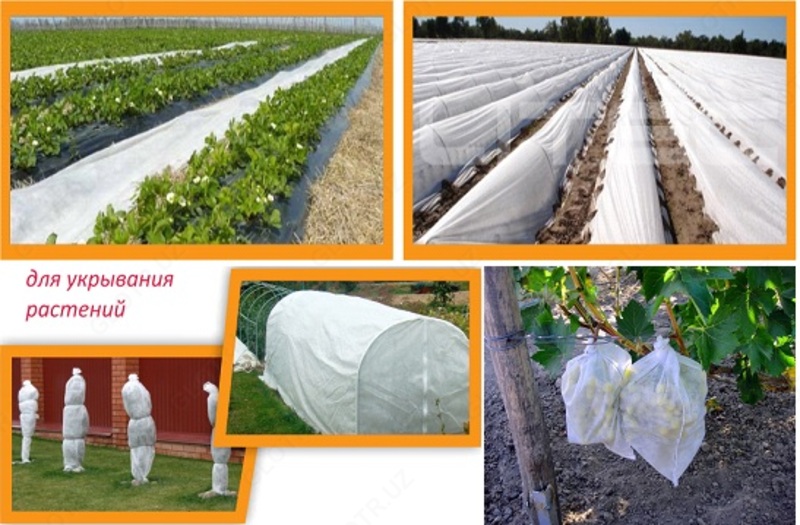 СЕЛЬСКОМ ХОЗЯЙСТВЕ) Original: https://glotr.uz/cabinet/proposal/active/?tab=product