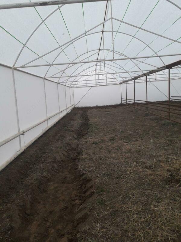 Агроволокно (СпанбонД) 60