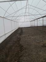 Агроволокно (СпанбонД) 60