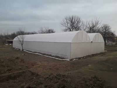 Shir (3.2 uzunlik 200 m) ulgurji narxlar !!! - 3 000 so'm / kv.m