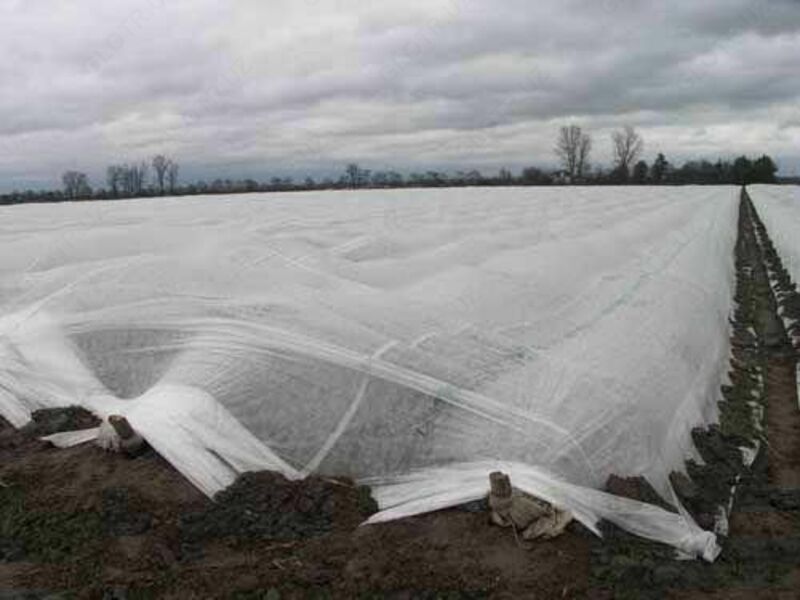 Агроволокно (СпанбонД) 42