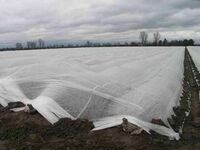 Агроволокно (СпанбонД) 42