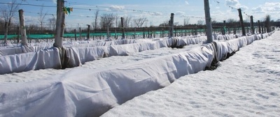 Agrofibre (Spunbond) 60, 90, Shir (3.2 uzunlik 200 m) ulgurji narxlar !!!