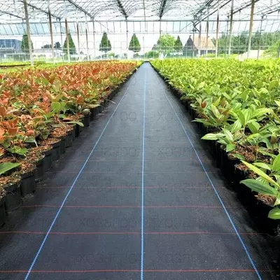 Tuproqni qoplaydigan materialni mulchalash Agrospan