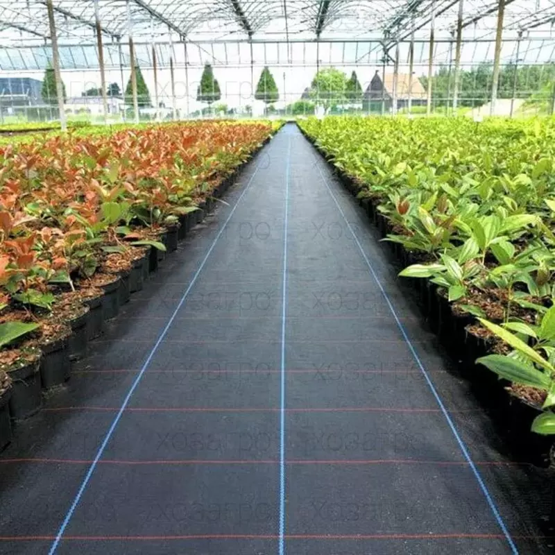 Tuproqni qoplaydigan materialni mulchalash Agrospan