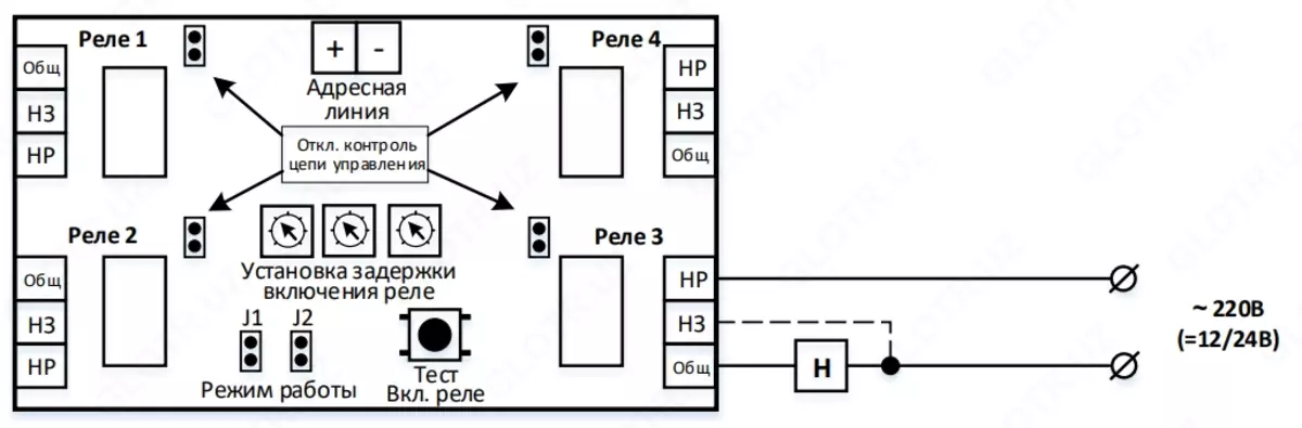2023-11-15-18-06-08-113245-38fcec1ea212f64994c00e01dd249daf.webp?_=ozbol