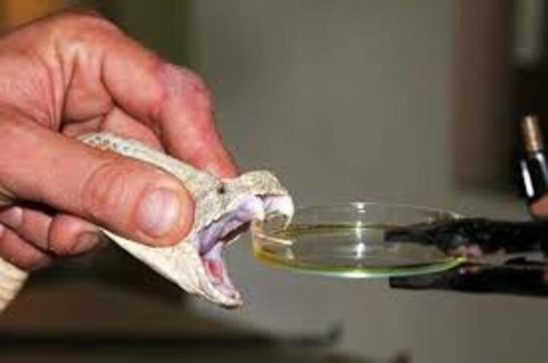 Немного о СП "Хай-Кулдон"