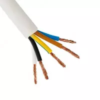 Провод соединительный с пластмассовой изоляцией ПВС 5х10 (1м)