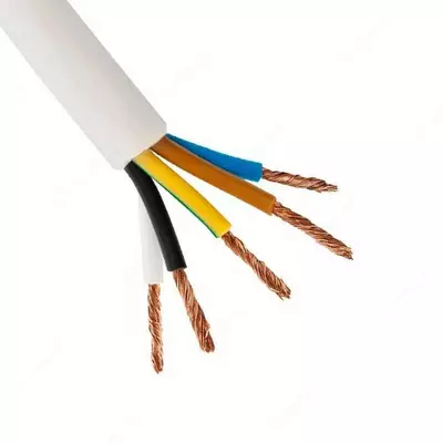 Провод соединительный с пластмассовой изоляцией ПВС 5х4,0 (1м)