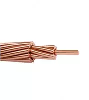 Yalang'och mis sim M