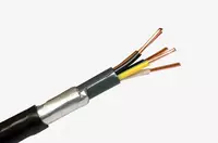 Кабель контрольный ВБбШвнг 3х4(ож)-1