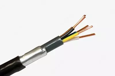 Кабель контрольный ВБбШвнг 5х4(ож)-1