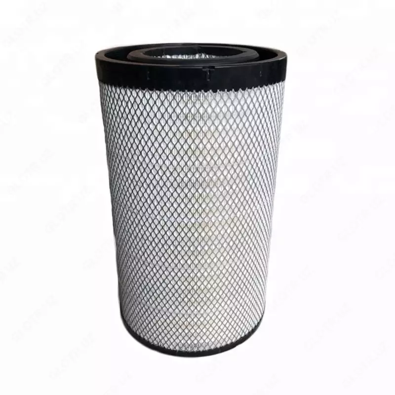 AA2960 havo filtri (asosiy)