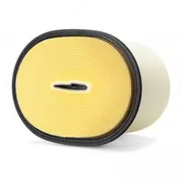 AF 1010JX Воздушный фильтр первичный