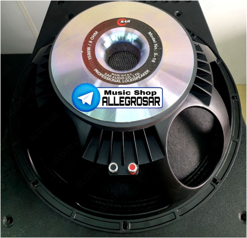 SAR Аудио колонка 10 DYUM S-10 - 598 161.5 сум