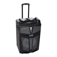 Akustik portativ tizim Ailiang LIGE-120A