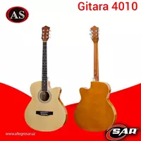 Gitara 4010 + korpus