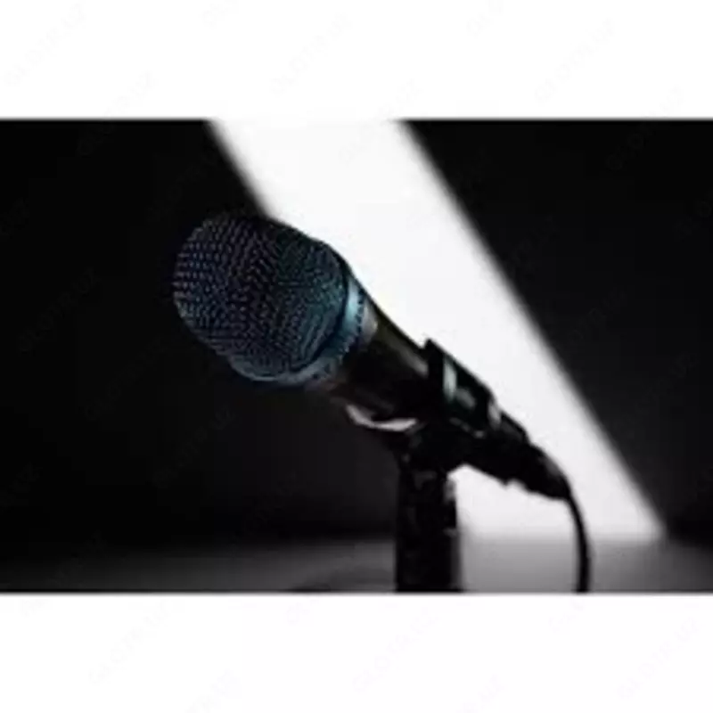 Микрофон SAR SR-555