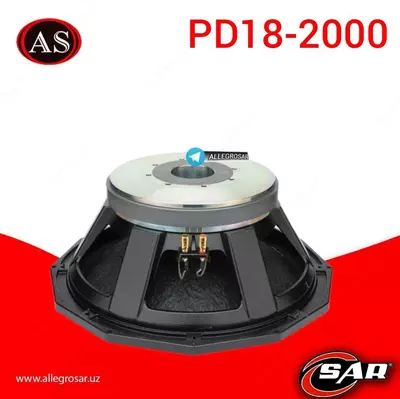 SAR Аудио колонка 18 DYUM PD-2000W - 1 890 000 сум / шт.