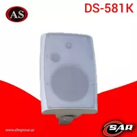 Громкоговоритель настенный