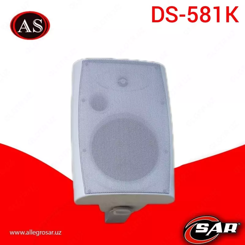 Громкоговоритель настенный