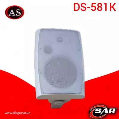 Громкоговоритель настенный