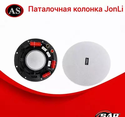 Потолочный динамик JONLI 8-10