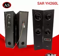 SAR YH260L — активная акустическая система