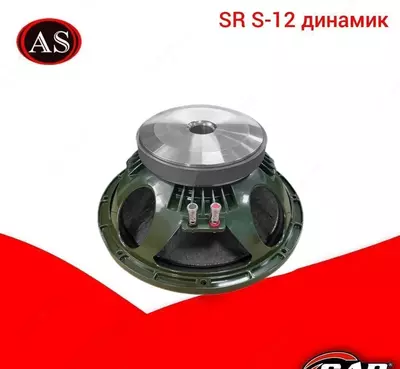 SR S-12 динамик