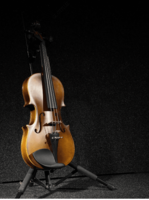 Скрипка 4/4 dream maker