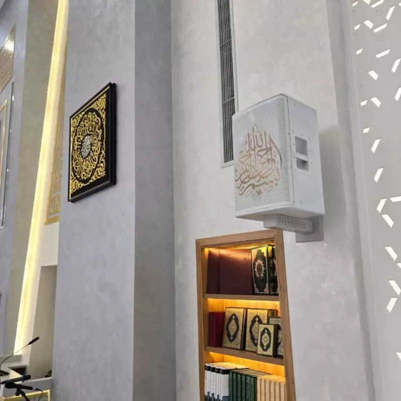 Акустическая система двухполосная (колонка)