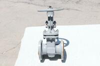 D50 temir po'latdan yasalgan valf