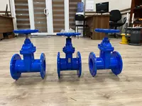 Задвижка чугунная с обрезиненным клином ДУ-300 РУ-16 GGG50 - от {0} сум