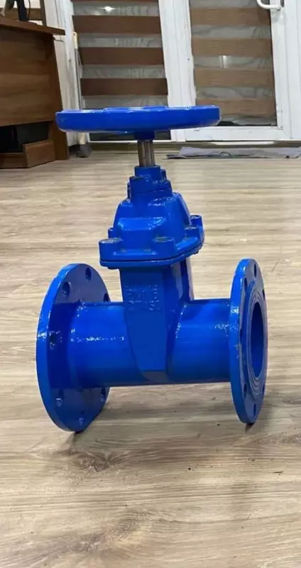 DU-80 RU-16 GGG50 kauchuk takozli quyma temir eshik valfi - {0} so'mdan