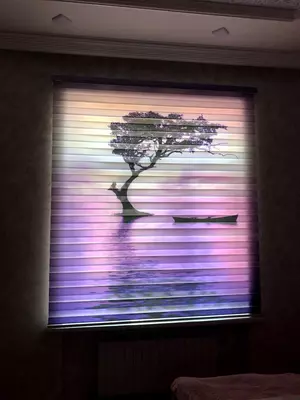 Combo KOMBO UZ - 155 000 so'm / kv.m