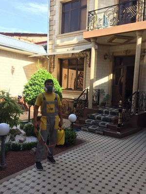 Клопы надоели ? Избавим с гарантией в Ташкенте - DEZ MASTER uz