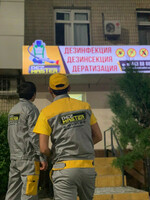 Услуги:Уничтожение мух - по запросу