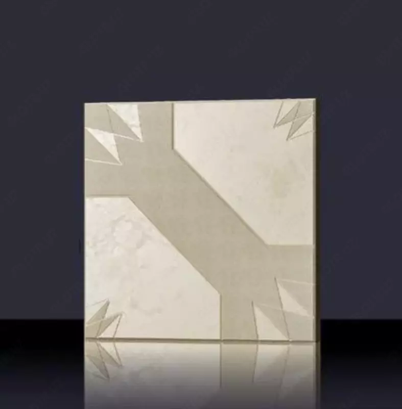 Vibrocast trotuarlar yo'lak toshlari "Raketa"